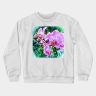 Pink Orchid flowers. Botanical art Crewneck Sweatshirt